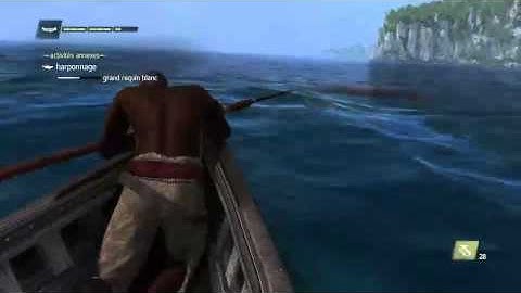 Assansin Creed 4 Shark Attack