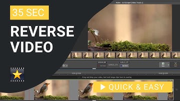 VideoPad Tutorial: How to Reverse Video in VideoPad