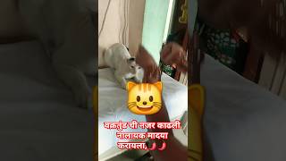 The relationship that came and went, Gotya Nazar Toor #cat #viral Vakratunda's eyes were drawn, Madhuri ki najar Kashi karavi