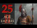 Прохождение Age of Empires 2: Definitive Edition #25 - Поднимая знамена [Котян Сутоевич]