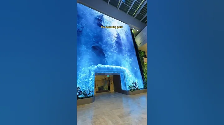 No wonder it’s the best airport in the world! 🌍✈️ #changiairport #singapore #changi