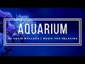 ⭐HD Relaxing Music - Kevin MacLeod - Aquarium 🌊- 1 Hour Jellyfish Aquarium Calming Classical Music