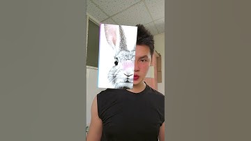 #filter : What Animal is Your Twin (App :Tiktok)