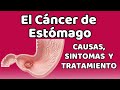 EL CÁNCER DE ESTÓMAGO, Causas, signos y síntomas, diagnóstico y tratamiento