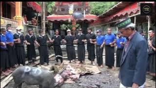ADAT DAN KEBUDAYAAN SUKU TORAJA / MENERIMA TAMU - RAMBU SOLO'