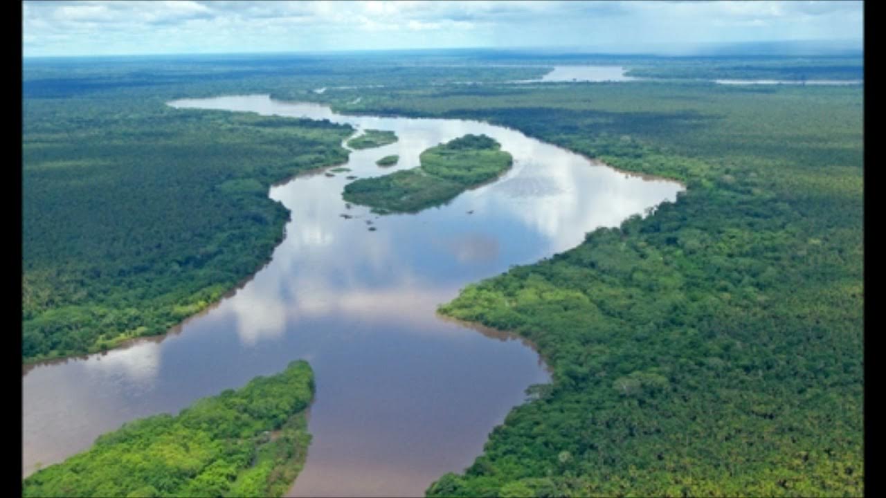 Самая длинная река самая длинная река. Самая длинная река в мире. Река ориноко. Устье амазонки. Амазония река амазонка.