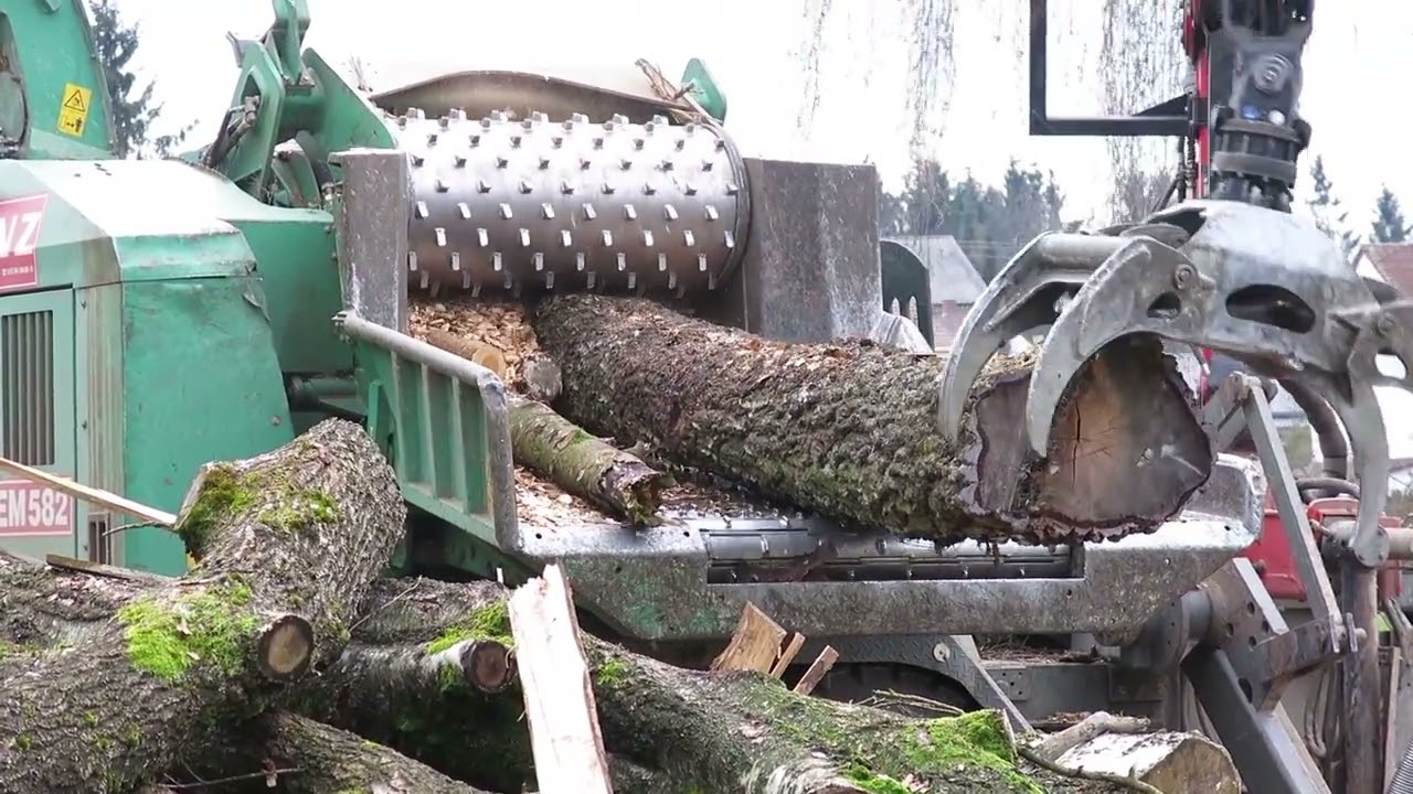 Log monster. 2017 01 18