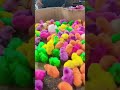 هل صيصان شو حلوين صيصان صغار هل صيصان شو حلوين صيصان صغار