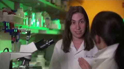 Dual Use Research : A Dialogue