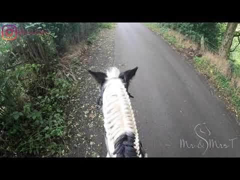Vídeo: Els Ulls Ho Tenen - Part 2 - Emergències Oculars Equines