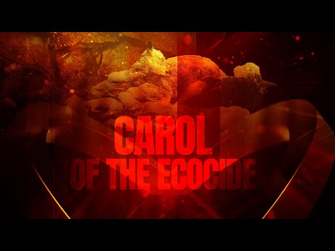 Carol of the Ecocide: Tina Karol and UAnimals present New Year's song about ecocide in Ukraine