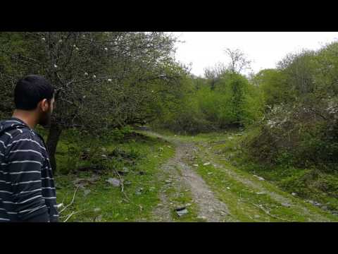 პანკისის ხეობა