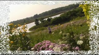 Davidcrypt - Blue Baby Scissors Official Music Video