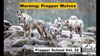 Warning: Prepper Wolves!  Prepper School Vol. 32