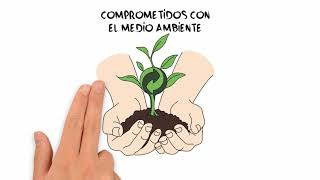 Demo Visual Thinking Compromiso Ecológico . Evoloom E-learning Solutions