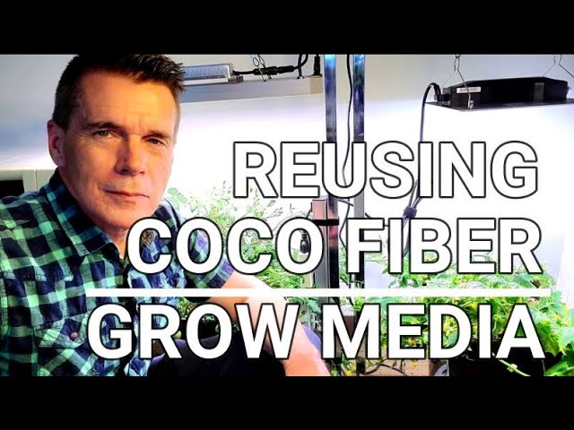 REUSING COCO FIBER GROW MEDIA class=