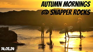 Autumn mornings @Snapper Rocks 14 05 24 #surfing #waves #drone