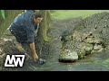 Matt wright gets chased by a big crocodile  full episode  matt wright