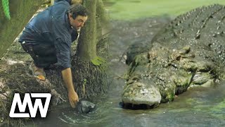 Matt Wright Gets Chased By A Big Crocodile! | Full Episode | Matt Wright screenshot 4