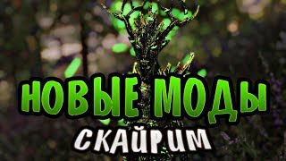 ТОП 10 НОВЫХ МОДОВ СКАЙРИМ ТОП 10 НОВЫХ МОДОВ СКАЙРИМ