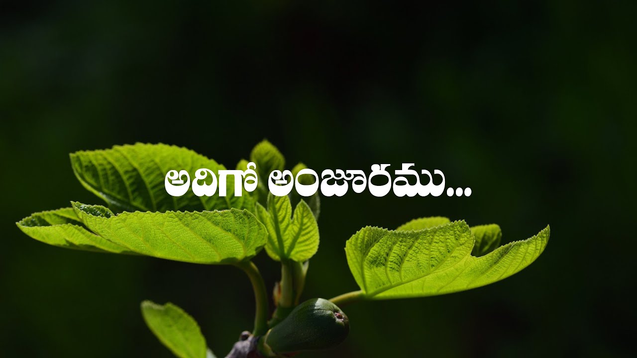       Adigo Anjuramu Oo Kraisthava  Lyrics  linesoflife3277