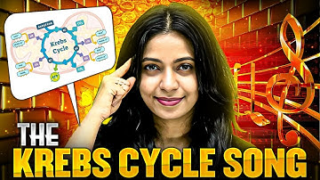 Learn Krebs Cycle like Never Before 🎵🔥#pwenglish #krebscycle