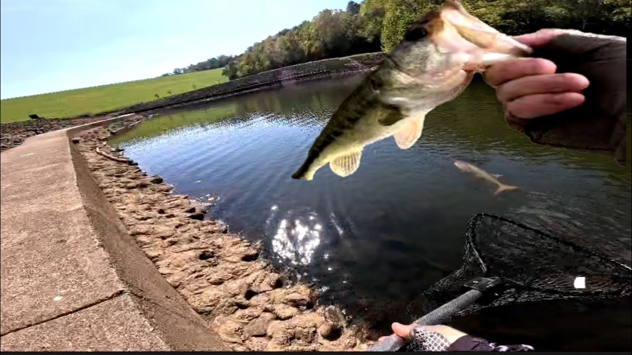 Did Not See That Coming!! #fishing #bassfishing #fish