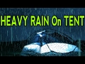 🎧 Heavy Raindrops Sound On Tent | Ambient Noise For Relaxing, Focus or Sleep, @Ultizzz day#15