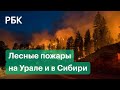 К селу Париж подобрался огонь: лесные пожары в Челябинской области все ближе к населенным пунктам