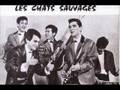 Dick rivers et les chats sauvagesjai pris dans tes yeux