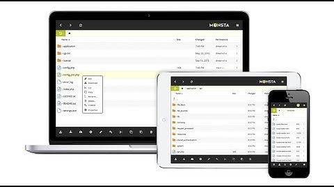 Monsta FTP v2.1 Demo