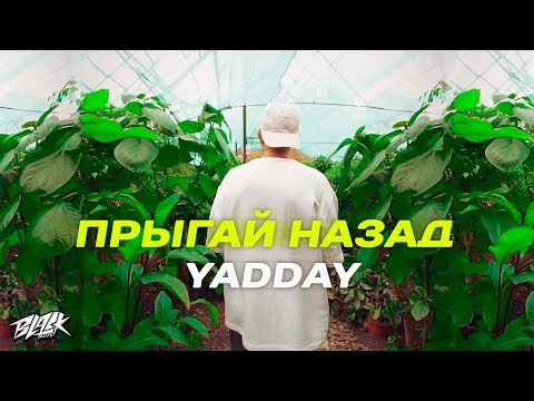 YADDAY - Прыгай назад (Премьера, 2021)