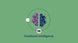 Trait Emotional Intelligence Questionnaire (TEIQue) overview