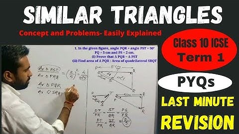 Similar Triangles || Class 10 || Last Minute Revision || PYQs || Term 1