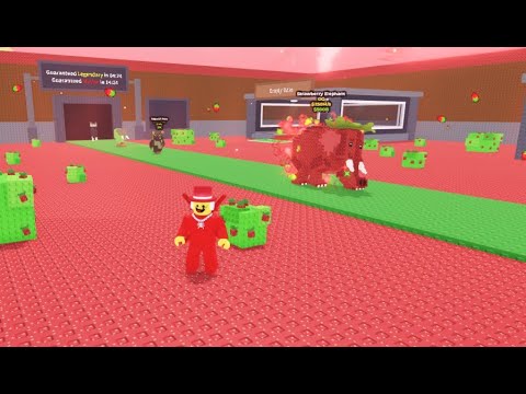 브레인롯훔치기 신규 업데이트 개발자 이벤트 OG등급 뽑기! + 환생과 신규 머신 까지 리뷰!