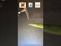 Which material can cut ladyfinger #satisfying #relaxing #experimnent #asmr #shorts #usa #us