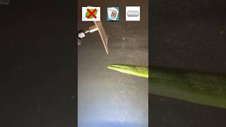 Which material can cut ladyfinger #satisfying #relaxing #experimnent #asmr #shorts #usa #us