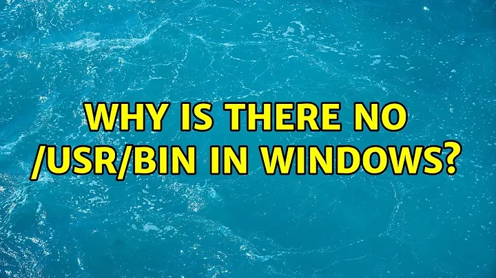 Why is there no /usr/bin in Windows? (2 Solutions!!)
