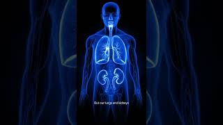 Is Alkaline Water Good For Health Dr Tapan Shah Decodes It With Facts