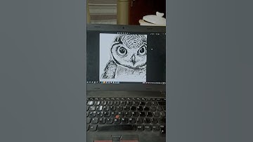Drawing an Owl Part 8 in Progress Drawing #shorts #art #animaldrawing
