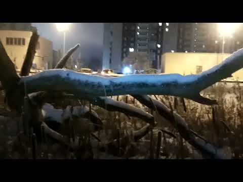 VID 20220126 075451