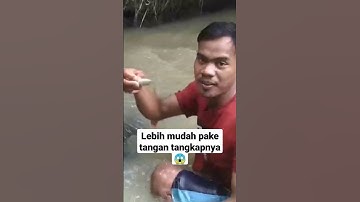 tangkap ikan di sungai #shorts #video #viral #anakpetualangbanten