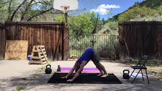 Elevated Scorpion