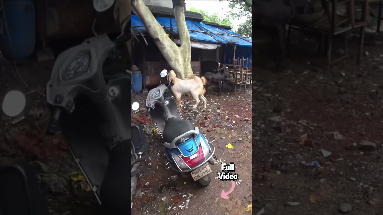 Indien Part 2 – In die Slums #Indien #Slums #Auswandern #mumbai