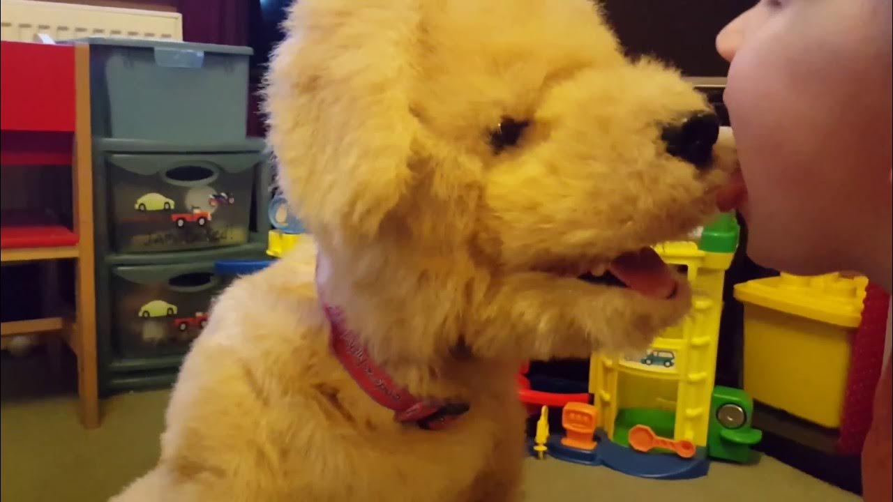 FurReal Friends Biscuit Labrador Interactive Dog Toy YouTube