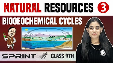 Natural Resources 03 | Biogeochemical Cycles | Class 9 | NCERT | Sprint
