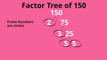 Factor tree of 150
