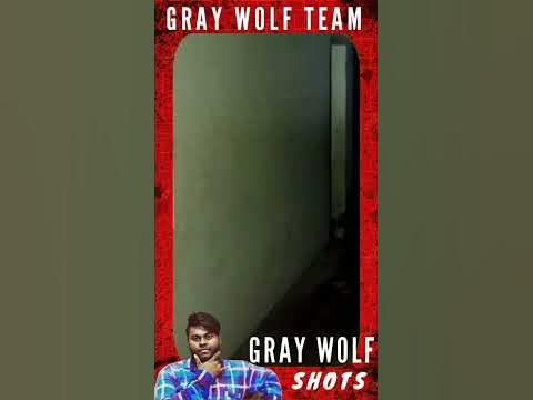 Grey wolf vasu anna saw his lovable ghost _ghost _vasu _horror_greywolf