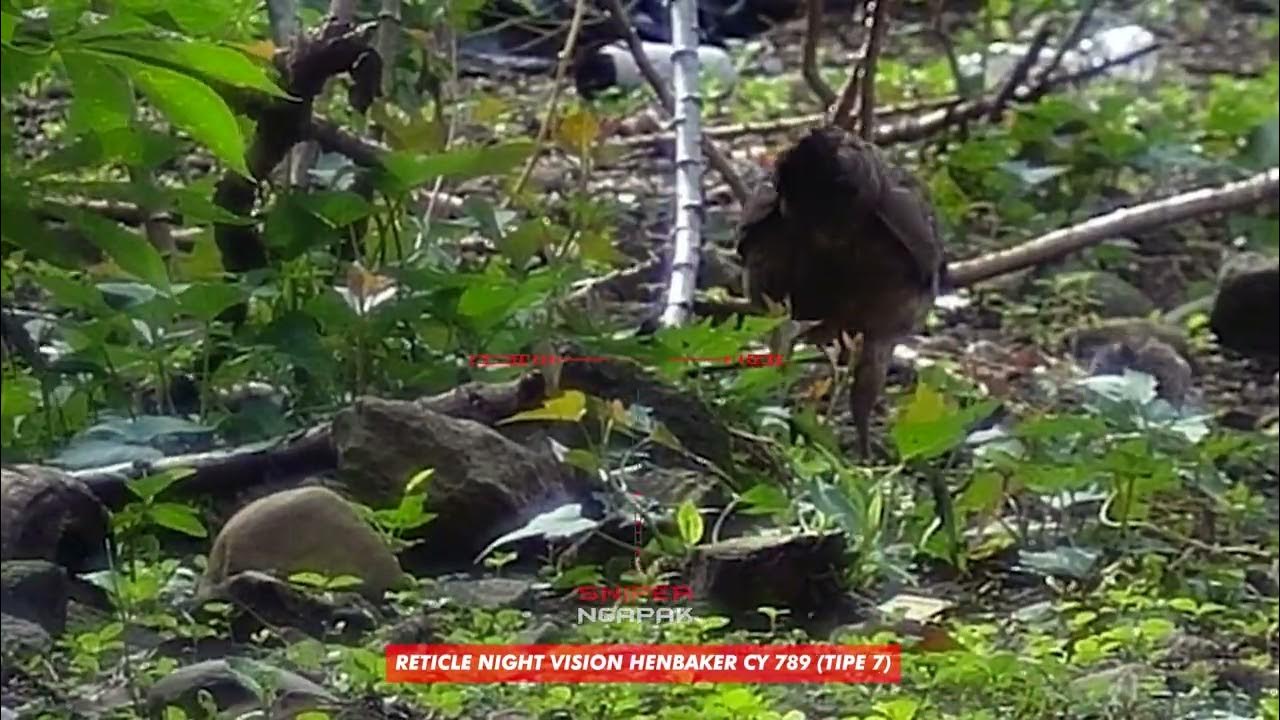 RETICLE NIGHT VISION HENBAKER CY 789 TIPE 7 - YouTube