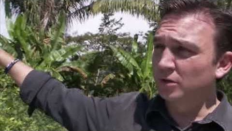 Chasing Shining Path in Peru - 12 Jan 09